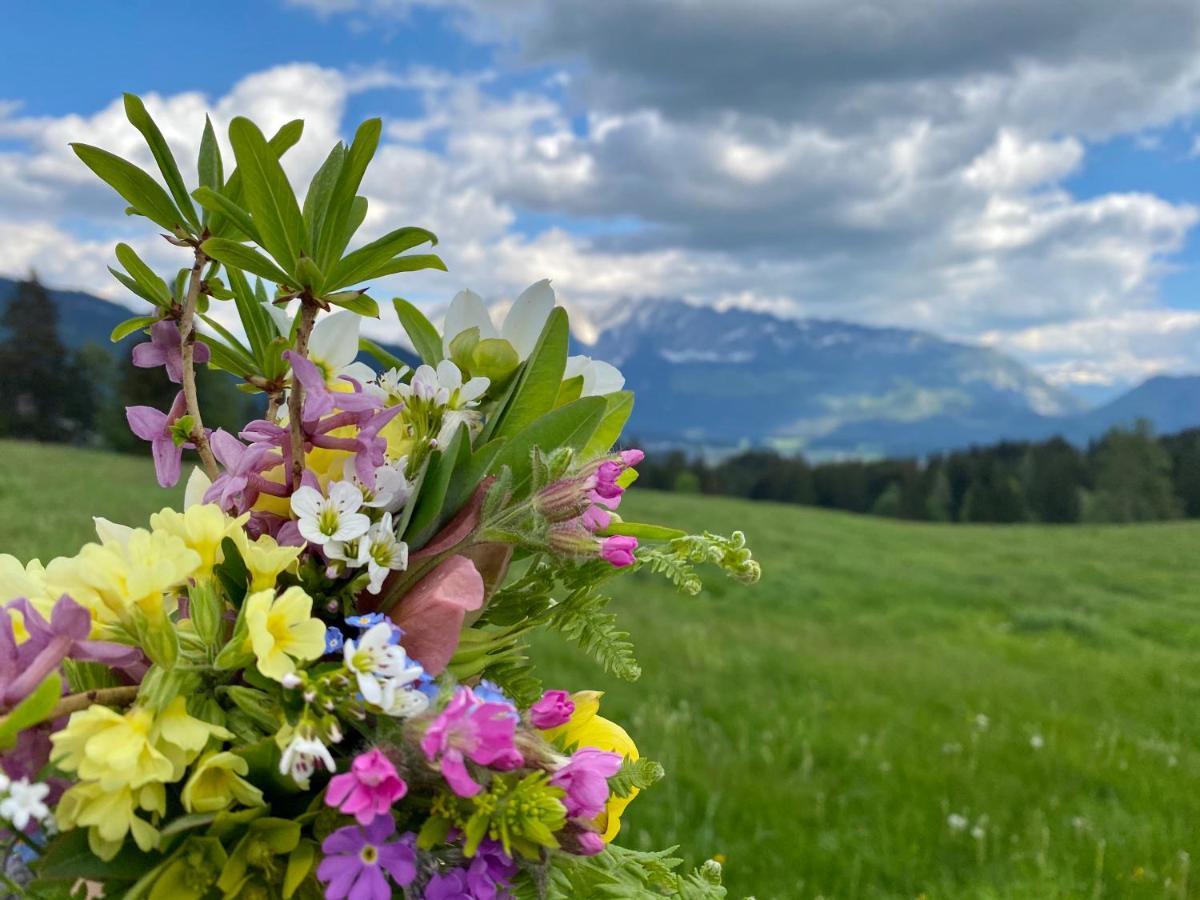 Obersdorfer Hof Pensionat Bad Mitterndorf Eksteriør billede